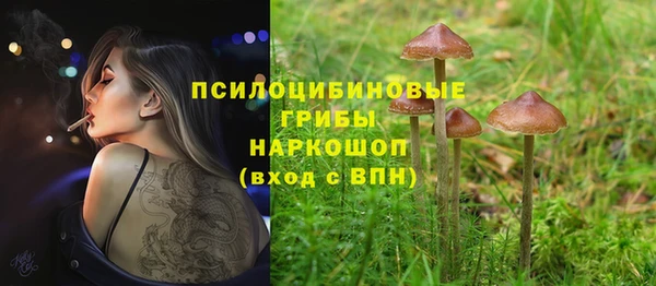 не бодяженный Арсеньев