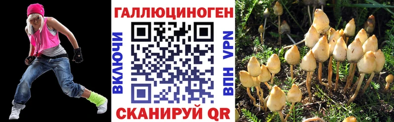 даркнет Telegram Белокуриха Псилоцибиновые грибы мухоморы