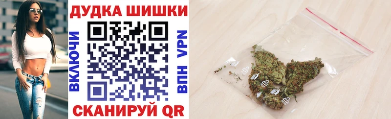 наркота  Белокуриха  Канабис ГИДРОПОН 